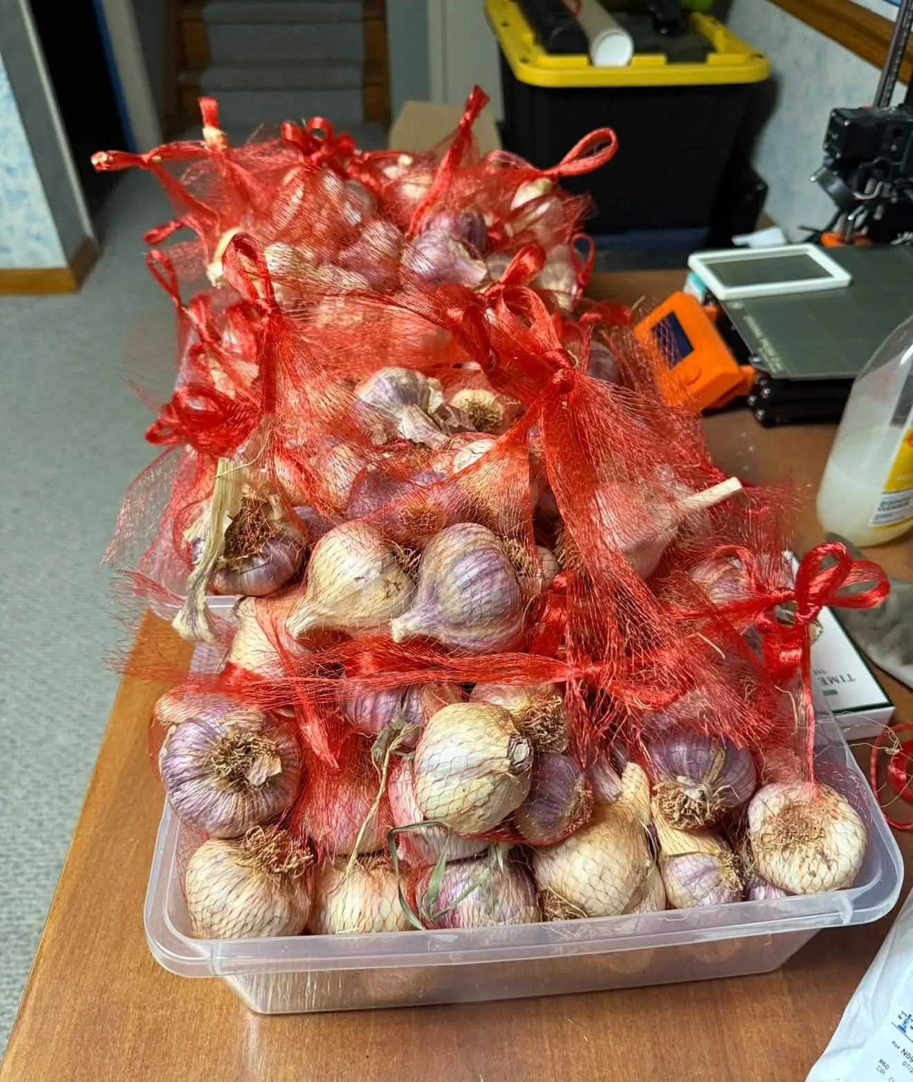 Gourmet garlic packed in mesh bags